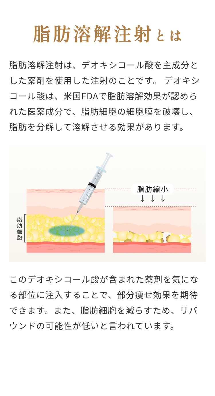 脂肪溶解注射とは/脂肪細胞の細胞膜を破壊し、脂肪を分解して溶解させる効果があります/脂肪細胞を減らすため、リバウンドの可能性が低いといわれています