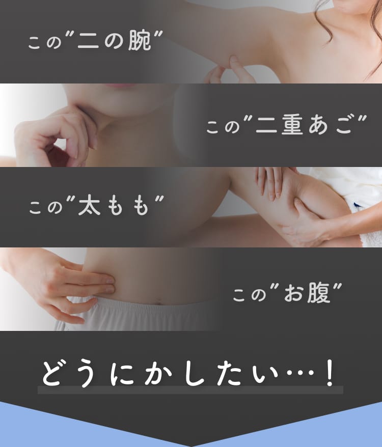 セクション画像